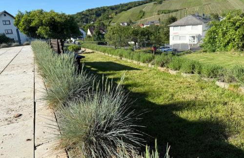 Romantic getaway with pool & panoramic vineyards - Foto 8