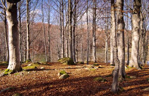 Comfortable Chalet in Giarola with Mountain View - Foto 13