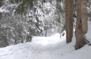 Les Lucioles - Photo 21