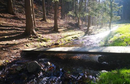 Agroturystyka Cieślarówka - Foto 19