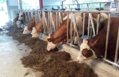 Öderbauer-Hof - Foto 16