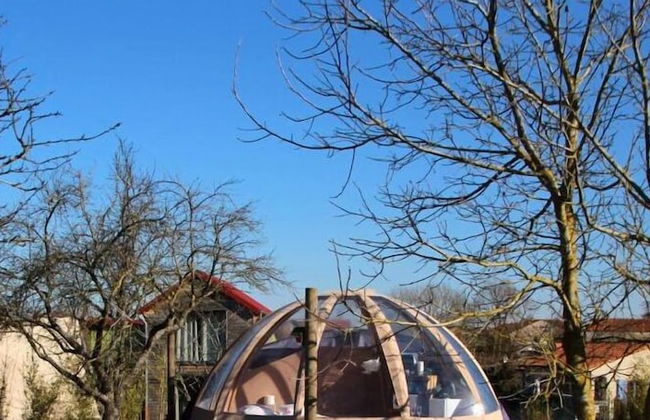 Les Nuits Insolites de Madine - Foto 50