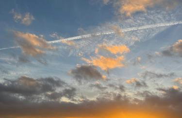 Unbox at Poplar Tree - Photo 33