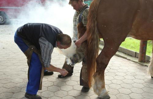 Garbers-Hof - Foto 74