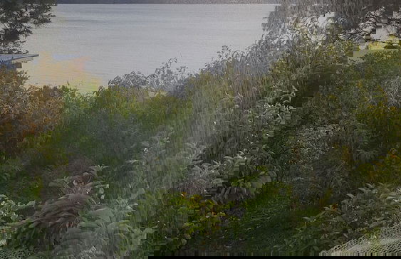 Applebay Guest House - Foto 34