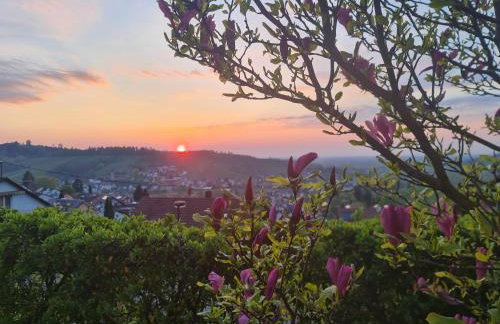 Kappler Nest - Foto 36