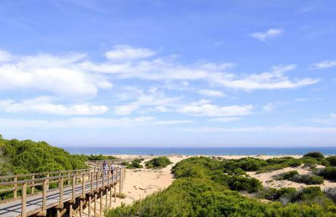 Sonido del Mar - Photo 40