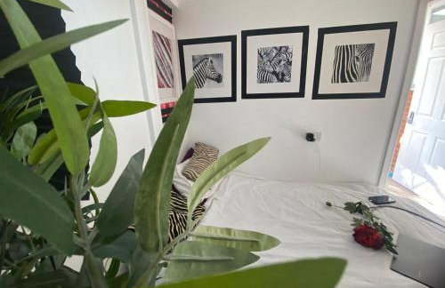 1 Bedroom studio - Photo 20