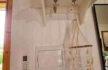 La flabellina blu - Foto 38