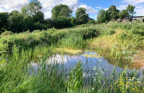 The Stable with cozy logburner - Foto 10