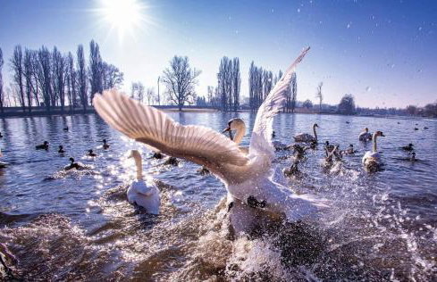 Studio apartment PANORAMA - Foto 65