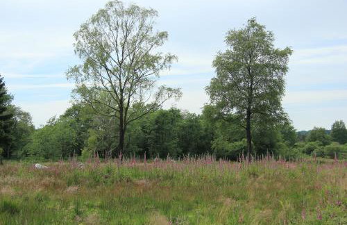 Ferienhaus Vennblick - Foto 54