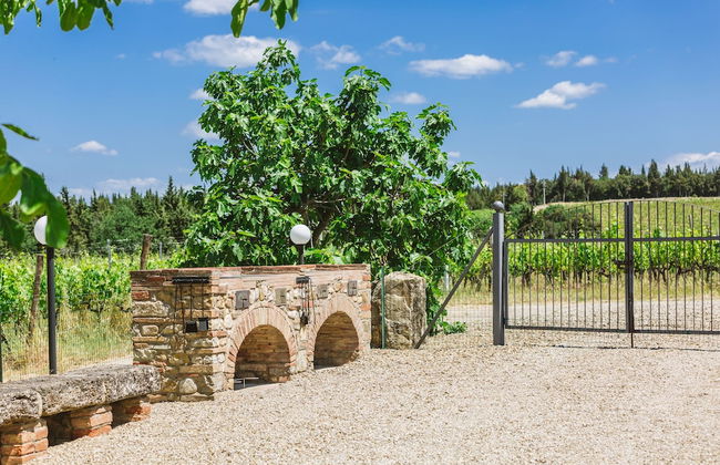 Ormanni nel Chianti Classico - Foto 32