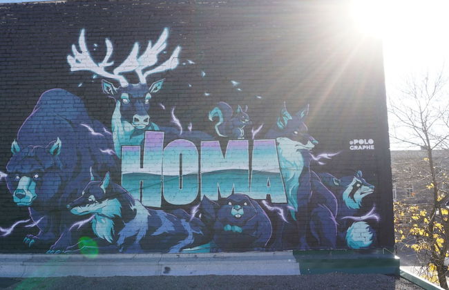 HoMa HomeStay Hotel by Olympic Stadium Montreal (Auberge/Hostel) - Foto 69