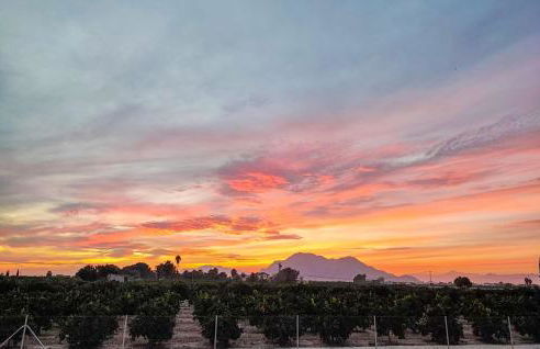 Beautiful Home In Guardamar Del Segura - Foto 43