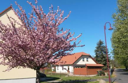 Ferienwohnung Störmthaler See - Foto 1