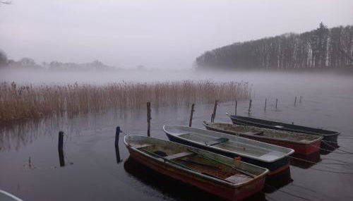 Schwandt-ein Bungalow mit Wasserblick, Ruderboot auf Anfrage - Foto 3