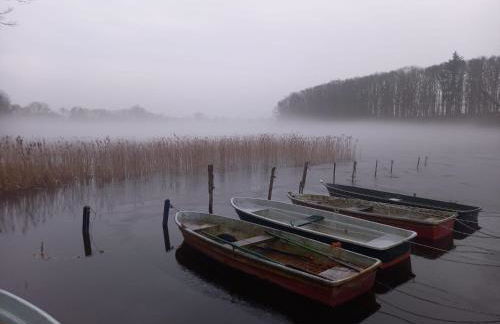 Schwandt-ein Bungalow mit Wasserblick, Ruderboot auf Anfrage - Foto 3