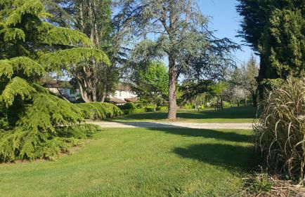 Domaine de la Brette - Photo 43