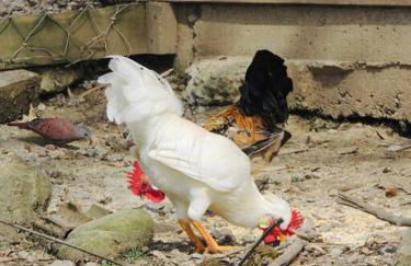 Cabana Mendoza - Busch Camping - Photo 27