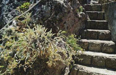 Island Getaway apartments Mljet - Foto 19