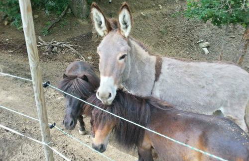 Chalets du Bois de Vache - Foto 50