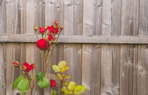 #01 Coleshill Townhouse Sleeps 6 NEC 7mins BHX - Foto 11