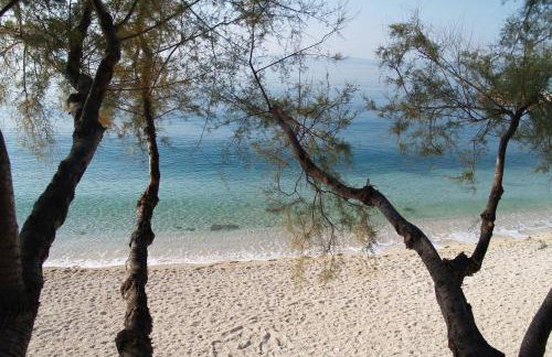 Brand new luxury apartment Blue Gallery - Foto 23