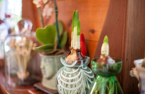 Antique Indonesian Teakwood Cottage for a Romantic Getaway in Petaluma, California - Foto 21