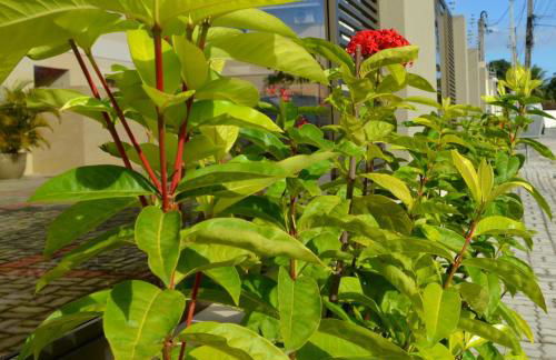 Residencial Portinari LTDA - Foto 56