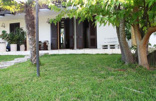 Vecchio Ulivo - Foto 14