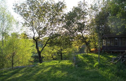 Cazal Da Lamella - Foto 72