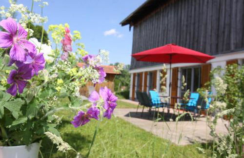 Beim Bicher - Photo 54