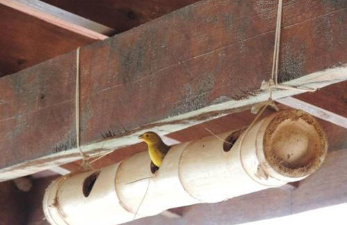 Chácara Verzani - Foto 76