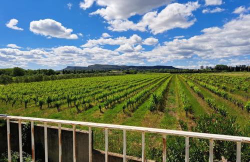 VILLA RIVIERE - Foto 16