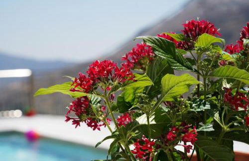 Villa Tzekos - Foto 48