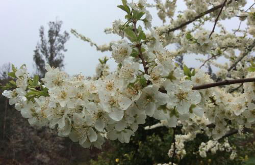 T3 Quinta da Melroa - Mountain Villa - Caramulo - Photo 27