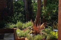 Lauriston Stay - Foto 30