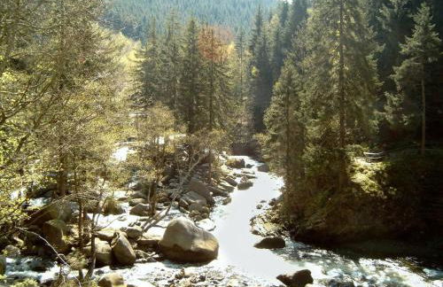 Monteurwohnung Langelsheim max 5 Personen - Foto 31