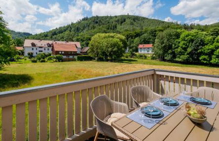 Harz Huus Apartments "Linde" - Foto 20