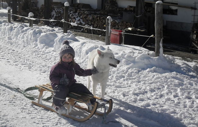 Hauserwirt - Photo 14