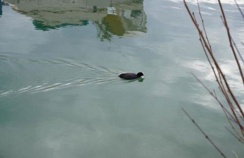 Casa Ländli - Foto 27