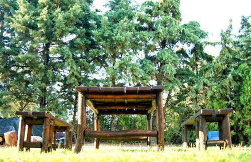 Simplicity at Iris Accommodation - Photo 47