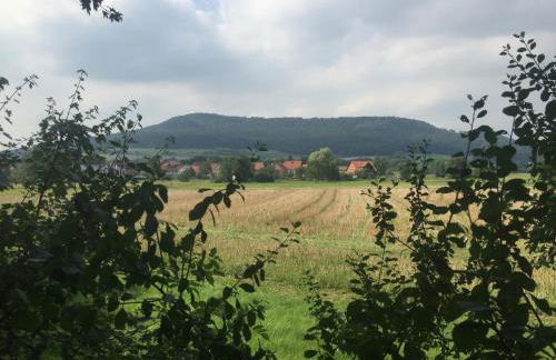 Ferienhaus in Amelgatzen mit Terrasse - Foto 72