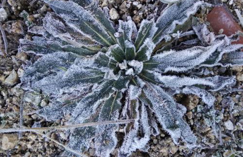 Turismo Rural Macieira Brava - Foto 40