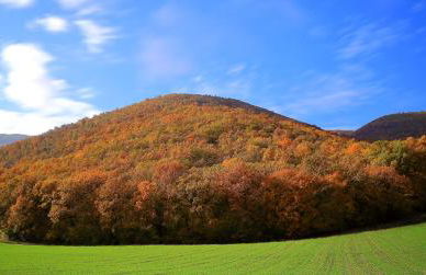 Agriturismo La Cascina di Opaco - Foto 33