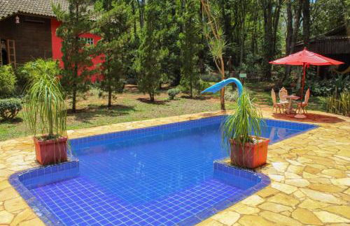 Chalé Cores da Mata - Foto 38