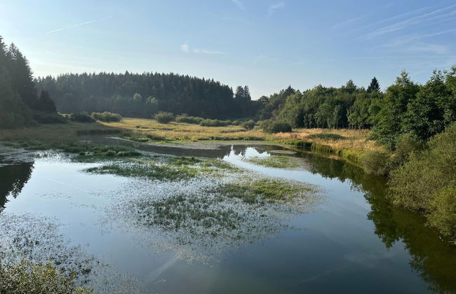 Boutique Chalet in Büllingen near Lake - Photo 34