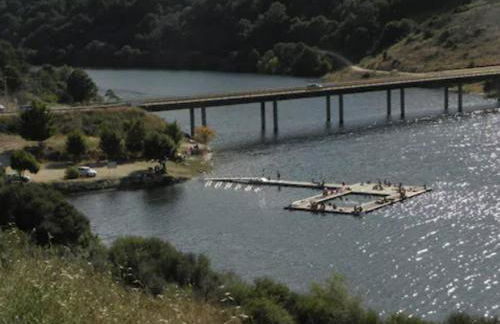 Quinta do Borges 2 - Foto 19