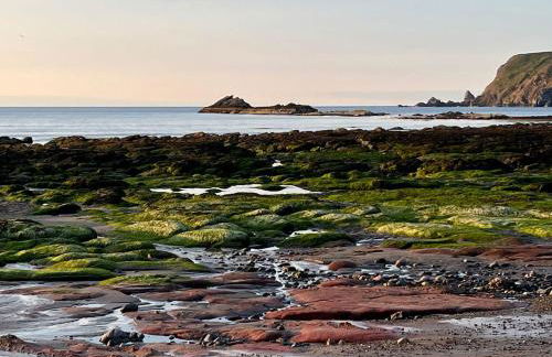 Lobster Pot - Foto 37